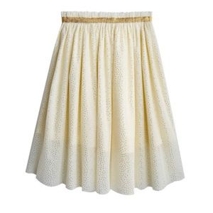 Fabkids Chiffon Skirt